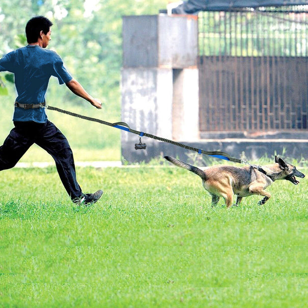 Running Dog Nylon Hand Freely Harness - marteum