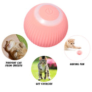 Automatic Rolling Ball Electric Cat Toy - marteum